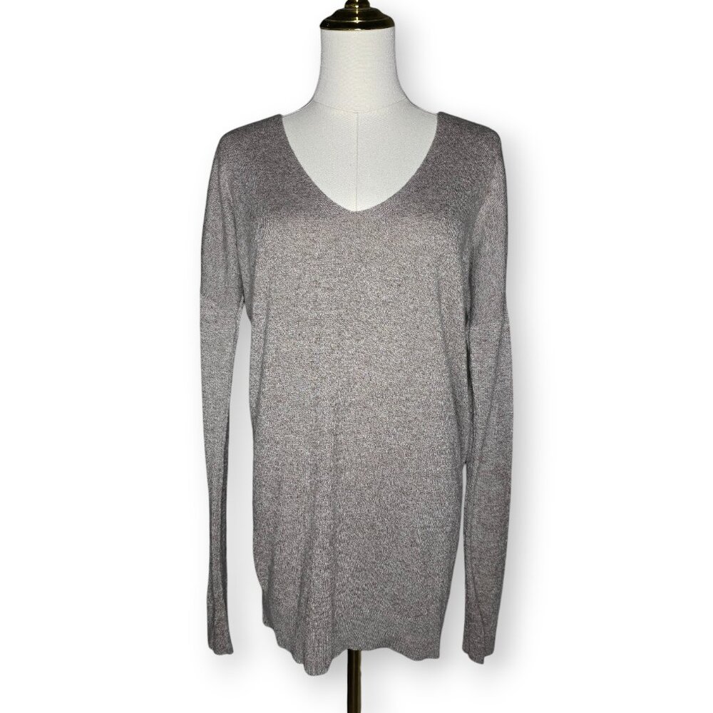 EXPRESS Beige / Taupe Heather V-Neck Sweater Wool Blend